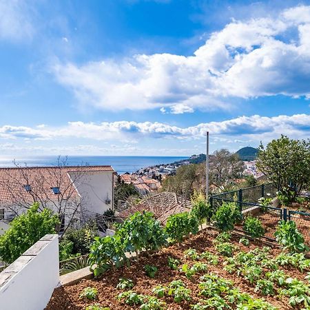 Apartment Debos Dubrovnik Exteriör bild