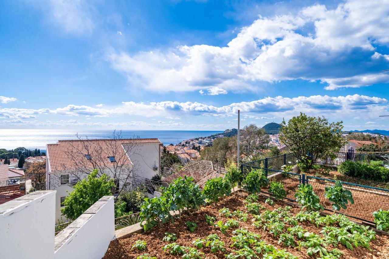 Apartment Debos Dubrovnik Exteriör bild